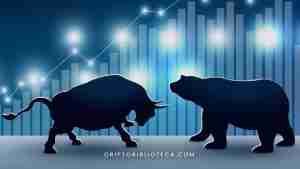 ¿Qué es Bear y Bull Market? Mercado alcista vs mercado bajista.